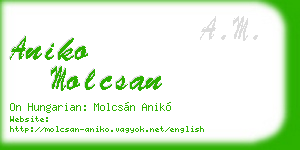 aniko molcsan business card